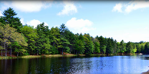 Peck Pond