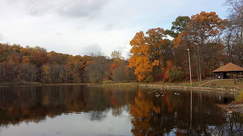 Picketts Pond