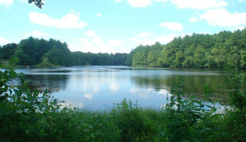 Pine Lake