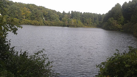 Quillinan Reservoir