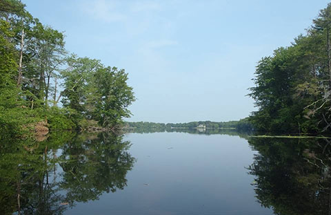 Red Cedar Lake
