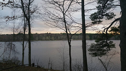 Roseland Lake