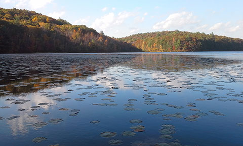 Ross Pond