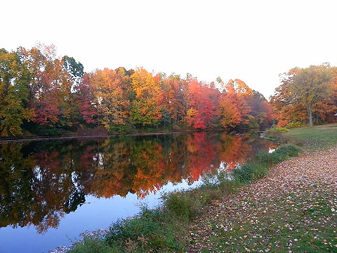 Salters Pond