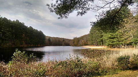 Schreeder Pond