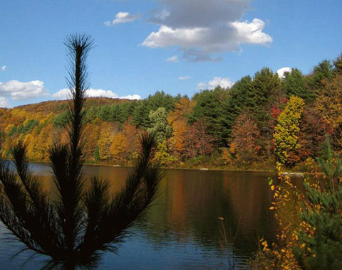 Seymour Reservoirs