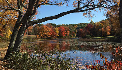 Southford Falls Pond