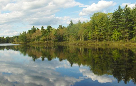 State Line Pond