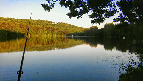 Stillwater Pond