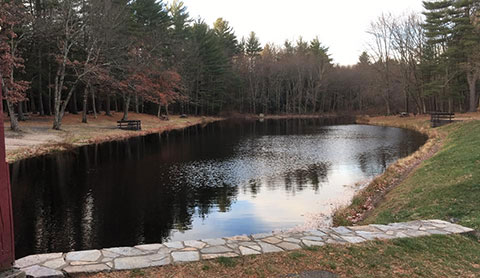 Stratton Brook Park Pond