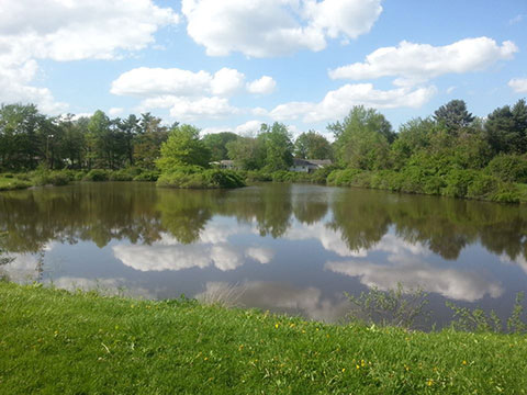 Stroh Park Pond