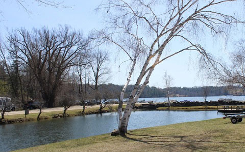 Town Grove Pond