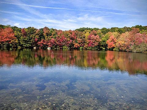 Twin Brooks Park Pond