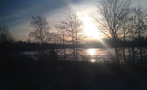 Wards Millpond