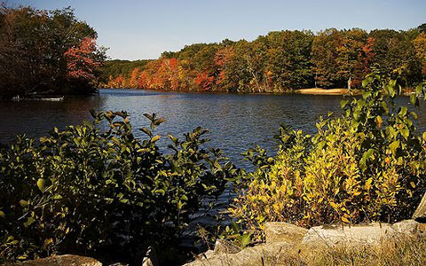Williams Pond