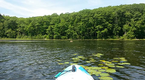 Wood Creek Pond